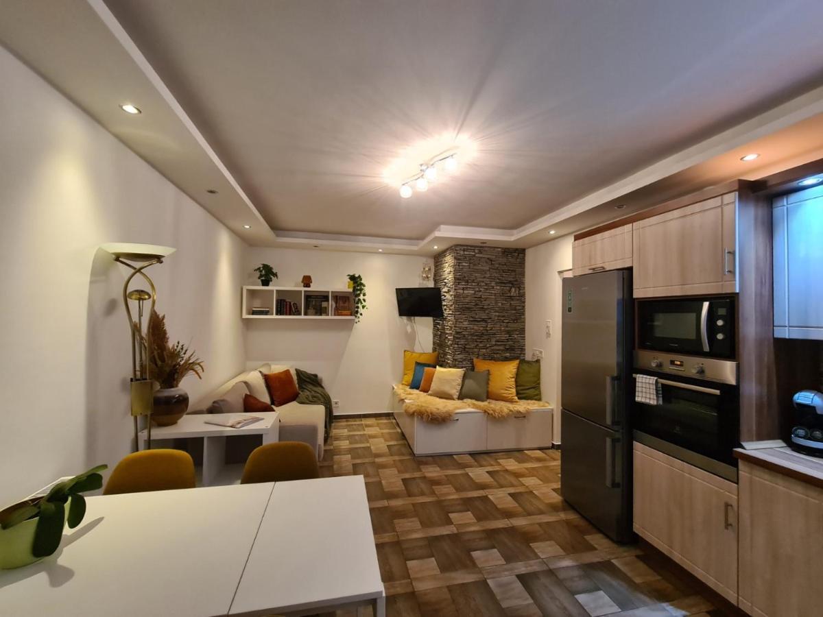 Panoramic Terrace Apartment